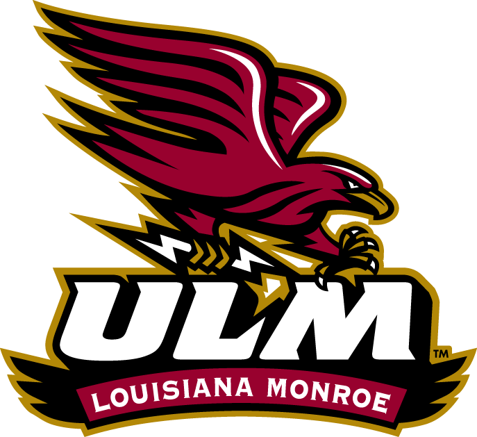 Louisiana-Monroe Warhawks 2006-Pres Alternate Logo t shirts DIY iron ons v2